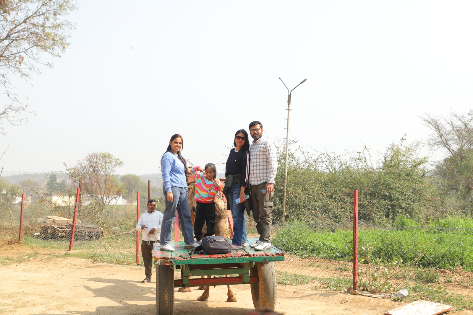 Activity