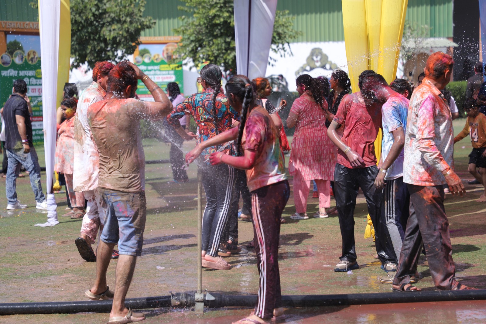 Festival