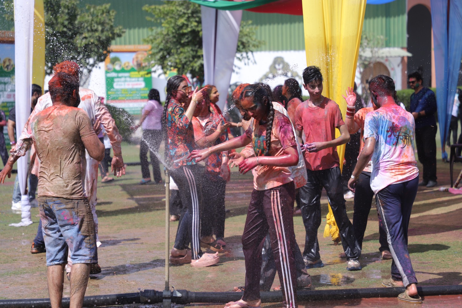 Festival