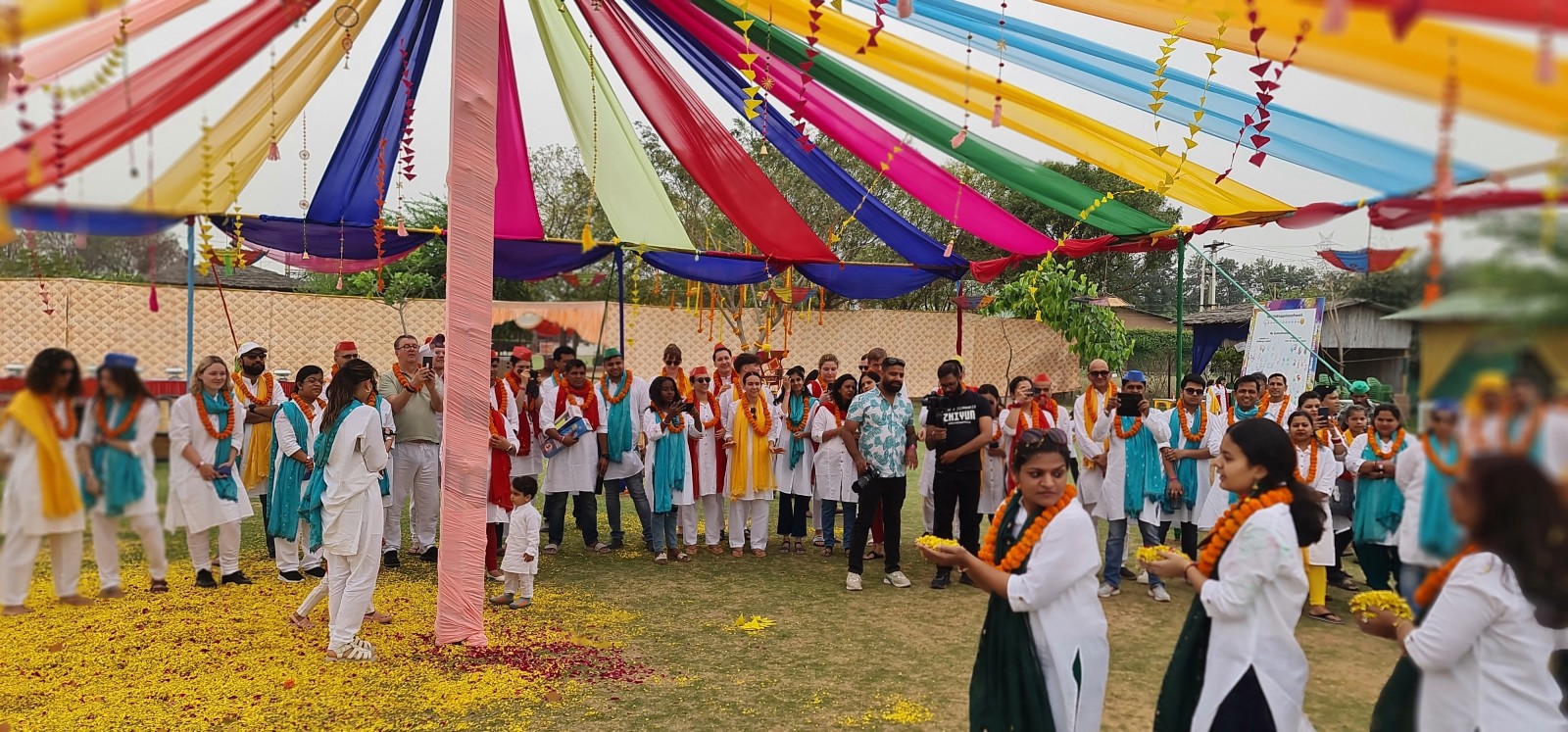 Festival