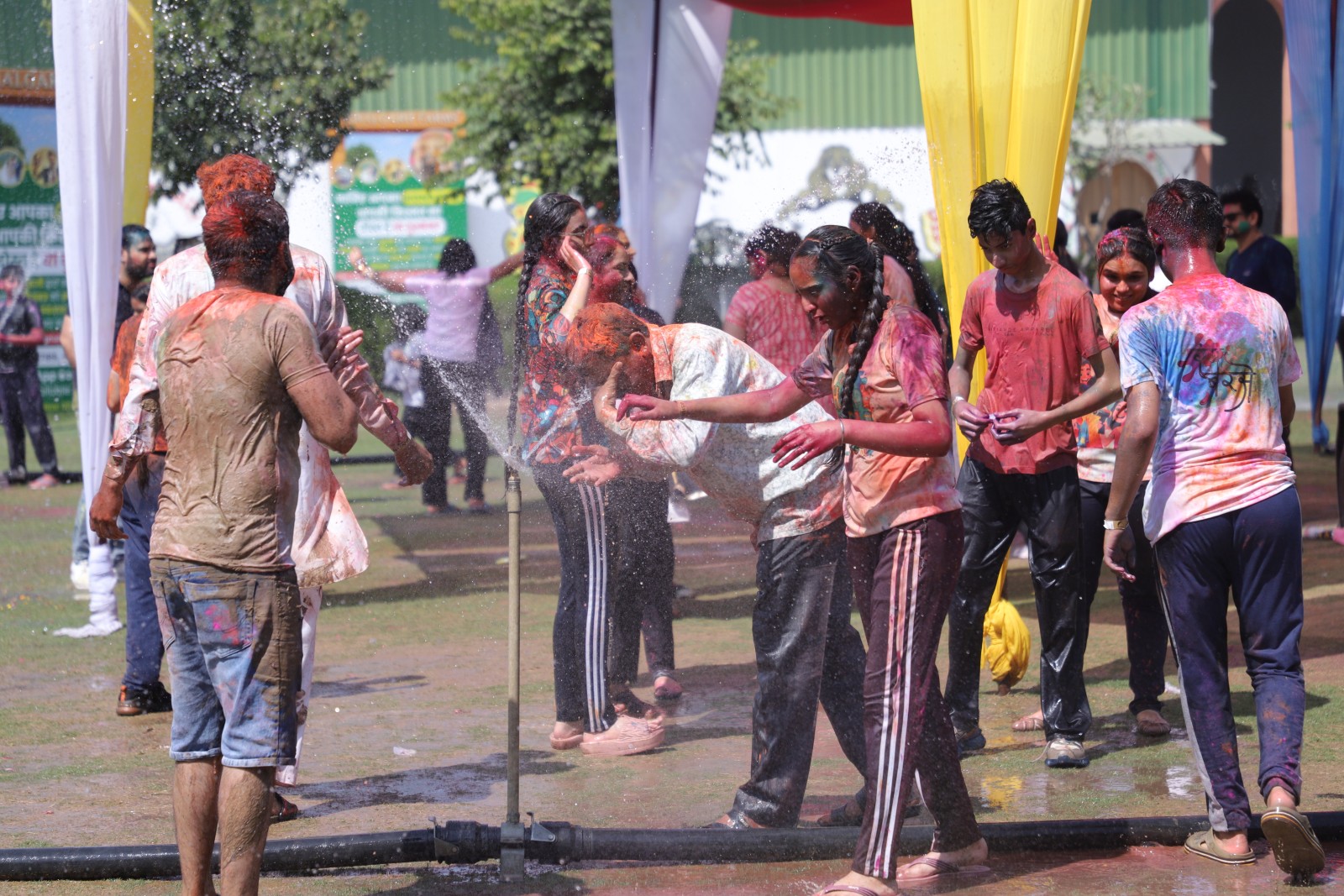 Festival