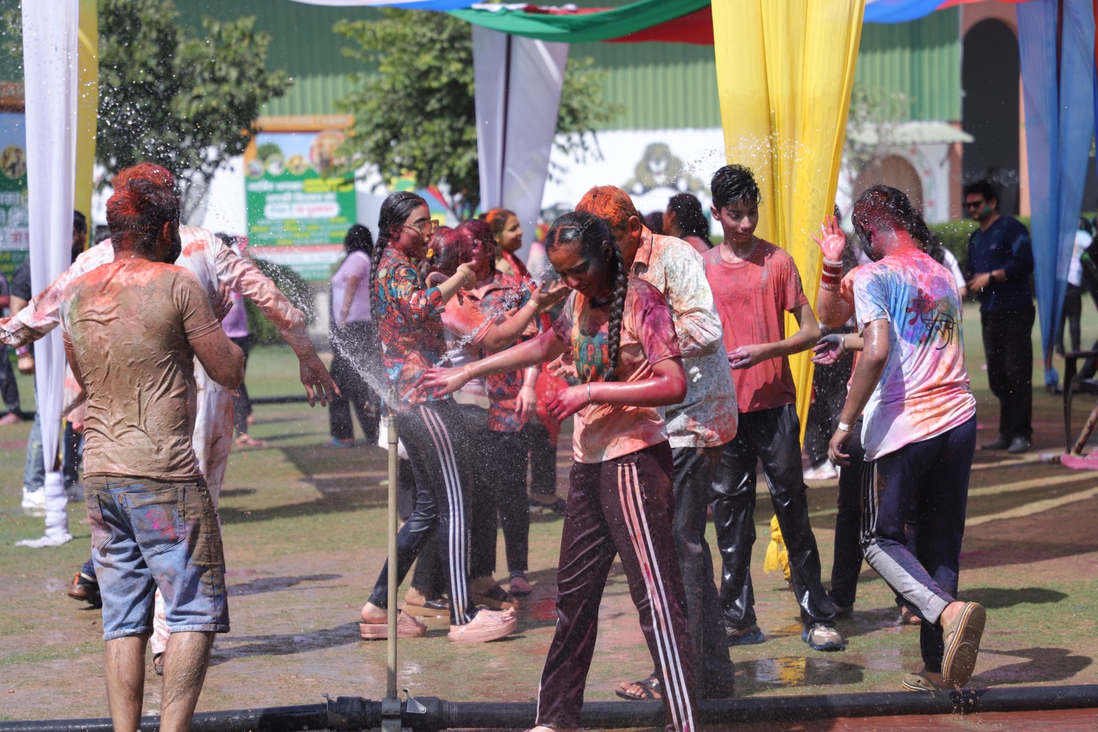 Festival